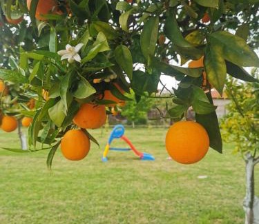 Temeni Apartment | Secret Garden