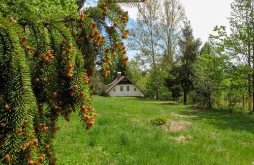 Dolni Maxov House | Sedmidomí by Interhome