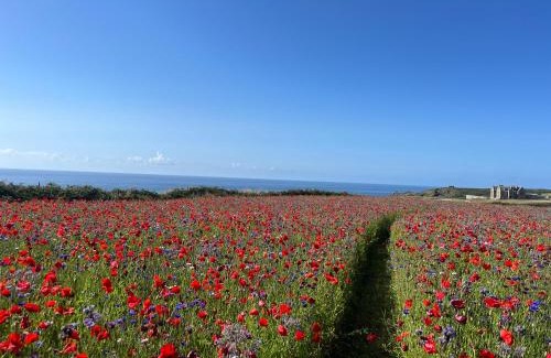 St Just House | See Two Seas, Cape Cornwall
