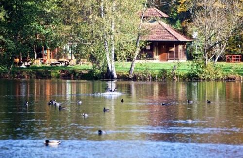 Schontal Apartment | Seen und Felsen