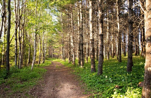 Les Eboulements House | Seigniorial manor for group events in Charlevoix, meals included