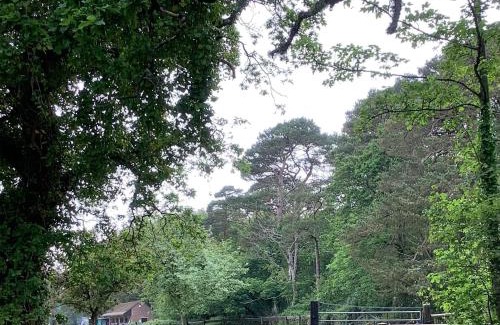 Wareham Apartment | Self Catering Apartment, Jurassic Coast/Dorset