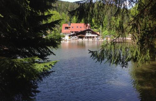 Triberg im Schwarzwald House | Self-check-in Ferienwohnungen & Apartments am Bergsee