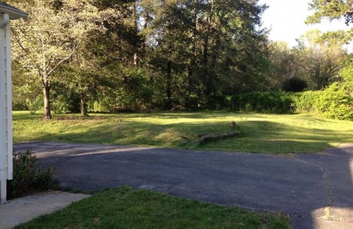 Knoxville Condo | Seminole Rd Apt · Private Cottage Apartment