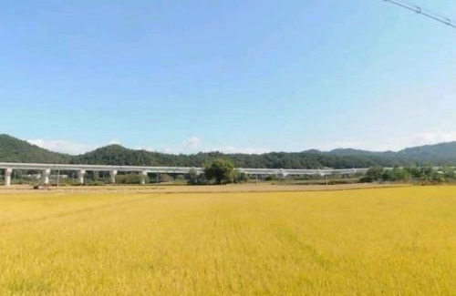 Yeongju House | Seoneulgimunhwa