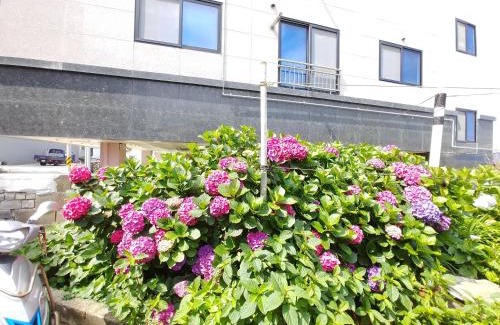 Seongsan House | Seongsan Star Pension