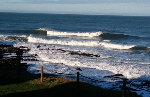 Depoe Bay Resort | September 16-23, 2023 Worldmark Depot Bay, OR! Ocean view! No Cleaning Fee.