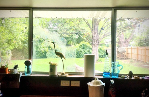 Springfield House | Serene & Comfy, BIG Fenced Yard