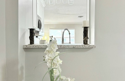 Pinellas Park House | SERENE HOME:WASHER/DRYER-BBQ- NEAR BEACH/LAKE/PARK/MUSEUM/RESTAURANT/AIRPORT!