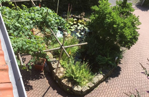 Alsfeld Apartment | Serenity in the half-timbered house in the center of Alsfeld