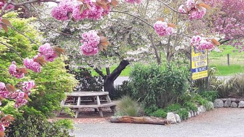 Pleasant Point Hotel | Serenity Motels