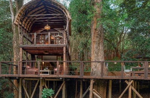 Buffelspruit Cabin | Serenity Mountain and Forest Lodge