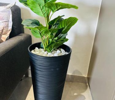 Kempton Park Apartment | Serenity stay