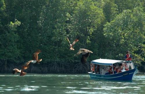 Kuah Apartment | SERI LAGENDA APARTMENT 3