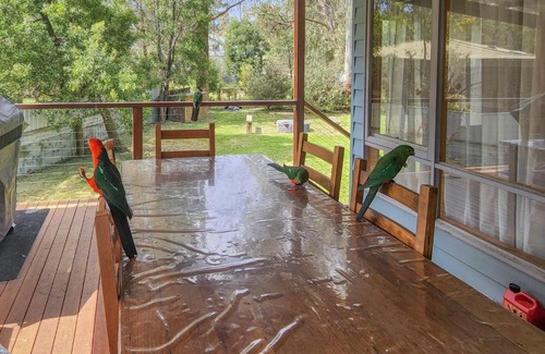 Sawmill Settlement House | Settlement Lodge