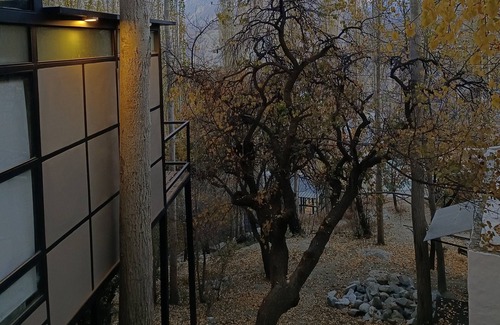 Hunza Ski Chalet | Sevinc With Forest View - Cloud Nine and a Half