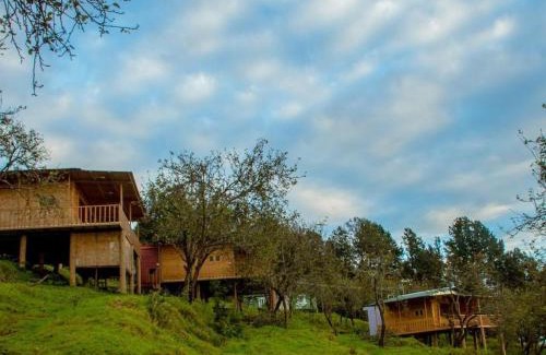 Vattakanal House | Shafa Wood Cabin