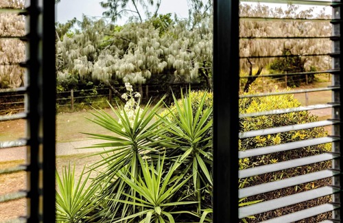 Shelly Beach Apartment | Shelly Beach Seaside Studio B