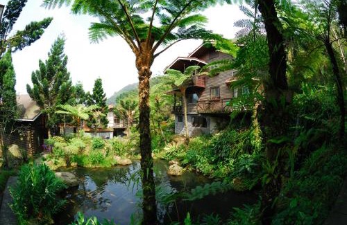 Lugu House | Shinmingshan Holiday Inn