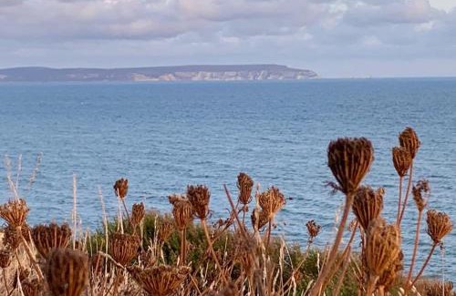 New Forest District Resort | Shorefield country Park, where the New Forest meets The Sea, passes for all entertainment included