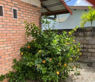 Paramaribo House | Siësta home