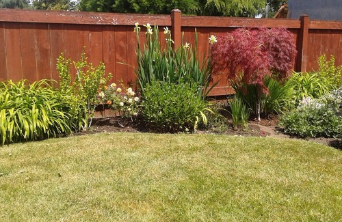 Sidney House | Sidney's secret hideout