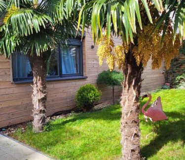 Arad Apartment | Sika Garden Apartment Arad
