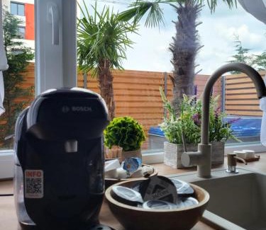 Arad Apartment | Sika Garden Apartment Arad