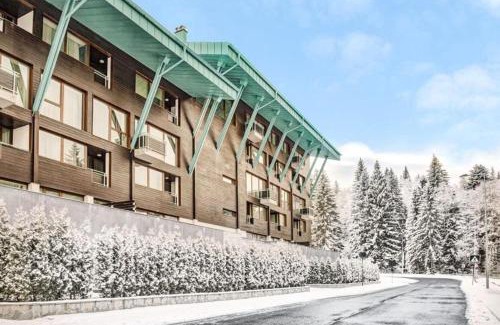 Poiana Brasov Apartment | Silver Mountain, Duplex 3 camere - 250 mp luxury garden - Poiana Brasov