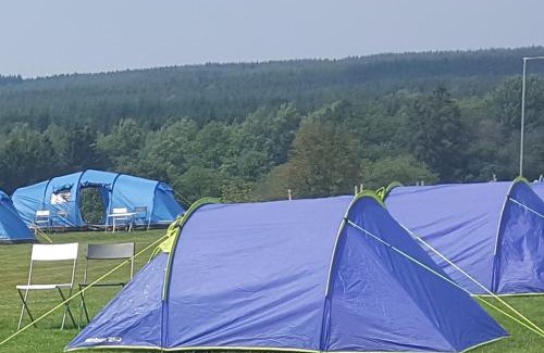 Towcester Other | Silverstone Glamping and Pre-Pitched Camping with intentsGP