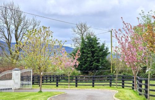 Kilgreaney Bed & Breakfast | Silvi's Guest House B & B Borris Carlow