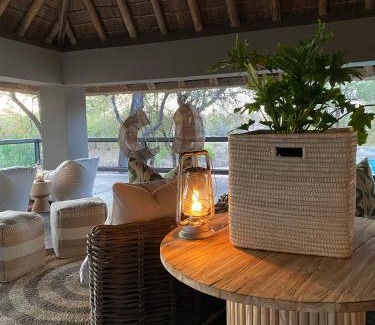 Thorny Bush Game Reserve Cabin | Simbavati River Sands