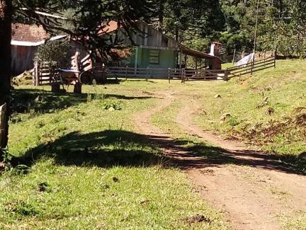 Vacas Gordas House | Sitio Palheiro Borges