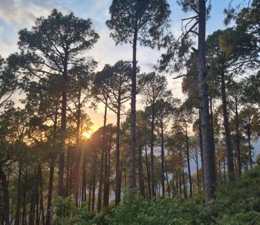 Bhurban Apartment | SK Lounges Bhurban