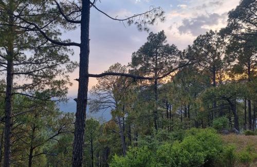 Bhurban Apartment | SK Lounges Bhurban