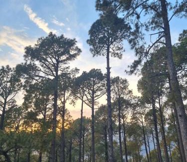 Bhurban Apartment | SK Lounges Bhurban