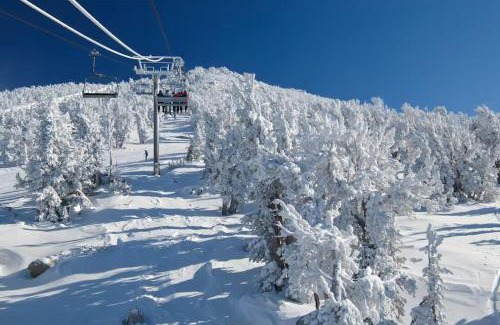 Mammoth Lakes Apartment | Ski Run Villas 8