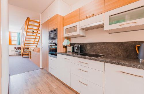 Ricky v Orlickych horach Apartment | Skiapartma - Říčky v Orlických horách