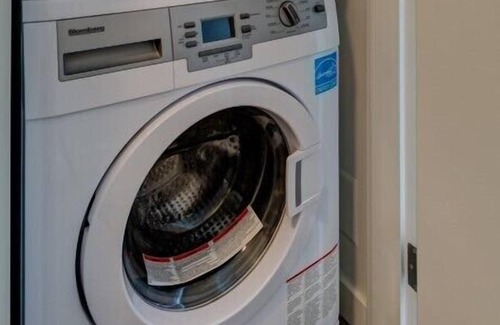 Downtown Victoria Condo | Sleek and Central Songhees Suite