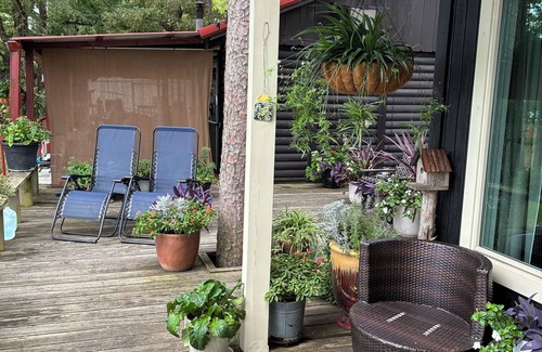 Russellville Cabin | Small cabin right on the lake !