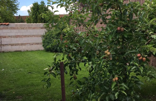 Crecy-en-Ponthieu House | Small country house near the Bay Sum, for 4 people