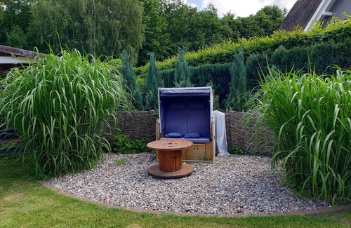 Wieck auf dem Darss Apartment | Small cozy vacation apartment with well-kept green property - Buhne I (ground floor)