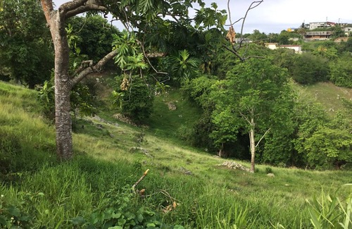 Le Gosier House | Small new villa in the peace of the throat