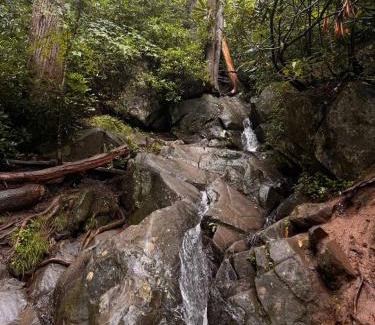 Gatlinburg - Pigeon Forge House | Smoky Mountains FamiLee Cabin in Wears Valley 2/2