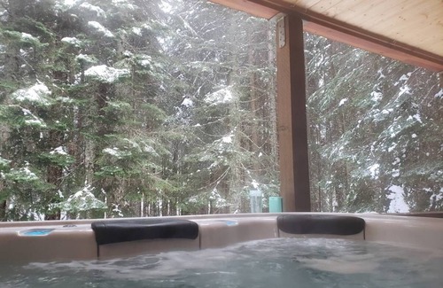 Snoqualmie Pass Cabin | Snoqualmie Pass Ski Cabin w/Hot Tub and Bonus Tree House!