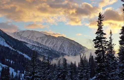 Salt Lake Mountain Resorts Condo | Snowbird - Week 8 - Feb 22 to Mar 1 - Big Snow Week!