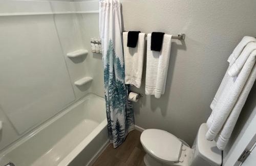 Saratoga Hotel | Snowy Mountain Inn