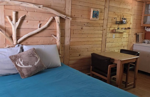 Cedaredge Cabin | Snuggle In with Your Pet in True Colorado Style Room with Queen bed/Kitchenette