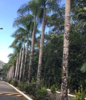Porto Novo House | Sobrado Condominio Park Imperial