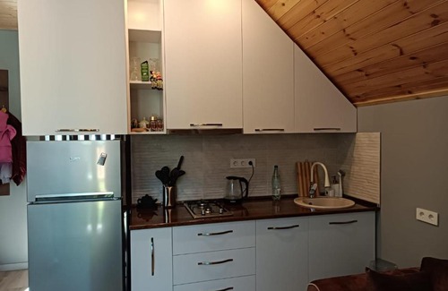 Bakuriani Apartment | sofia snow forest in bakuriani
